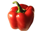 Red pepper